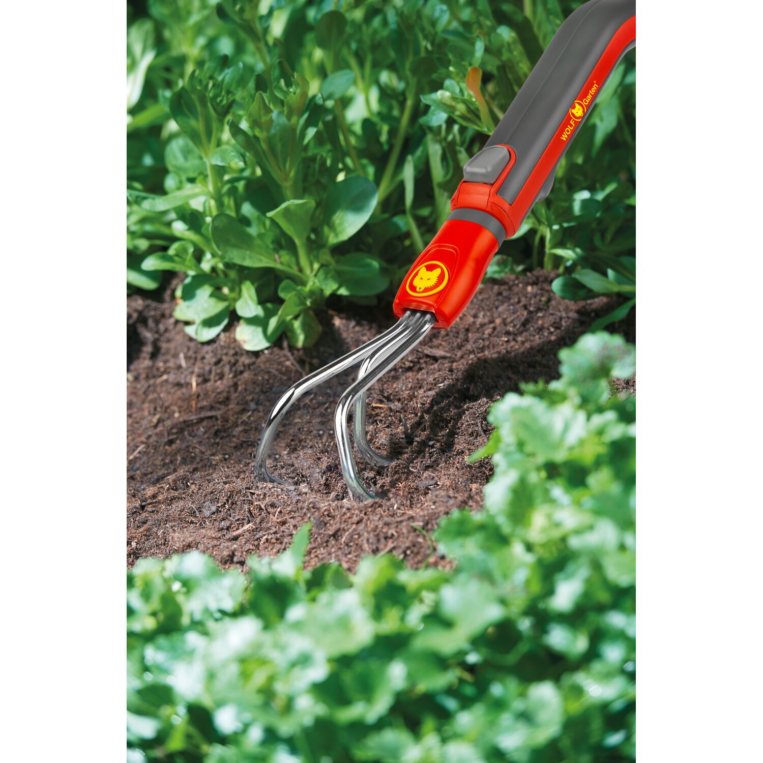 WOLF-Garten Kleingrubber LA-M in Anwendung in einem Beet