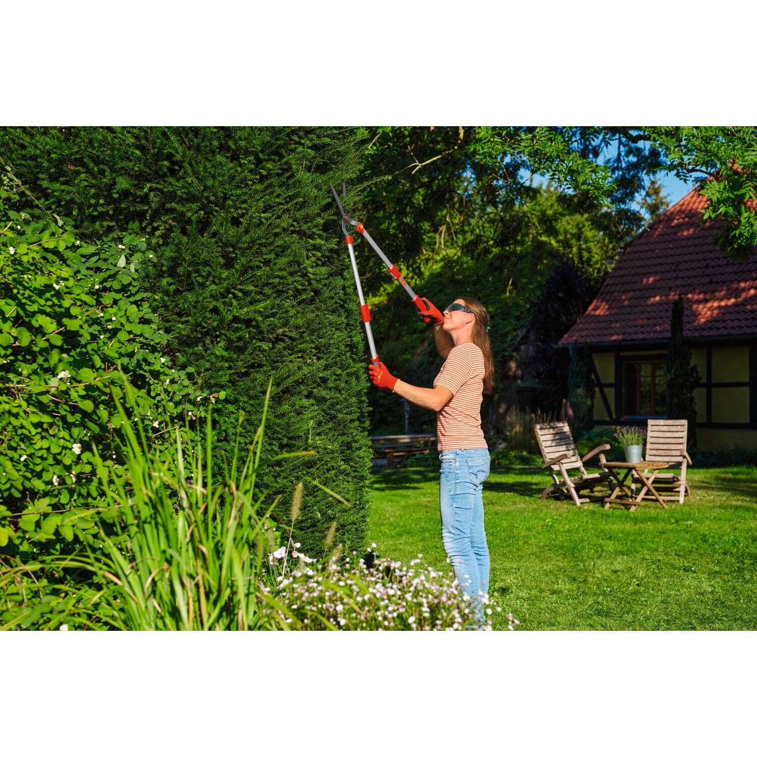 WOLF-Garten telescopic hedge shear while cutting shrubs