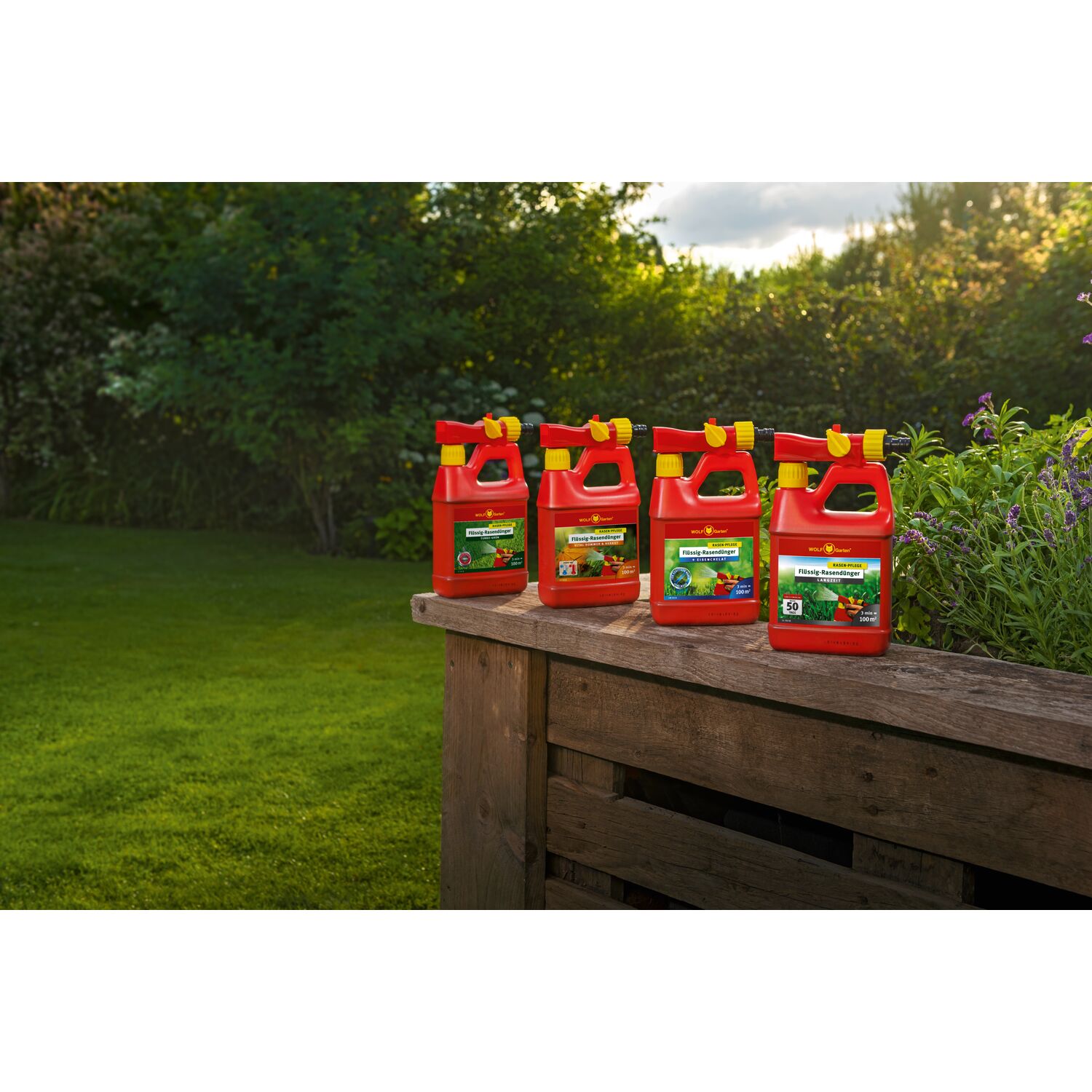 Liquid fertiliser range on the edge of a raised bed filled with flowering lavender