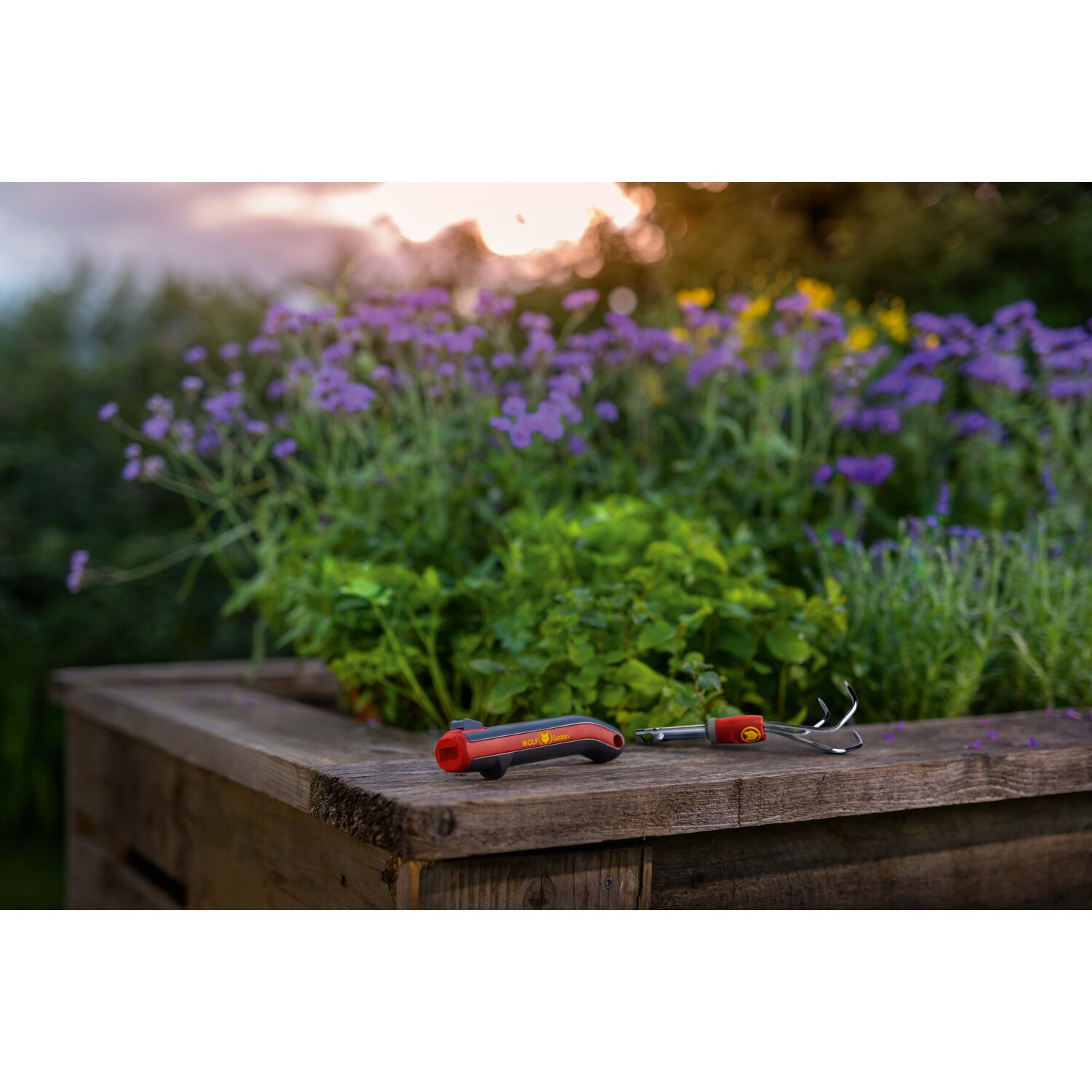 WOLF-Garten Kleingrubber LA-M Beautybild